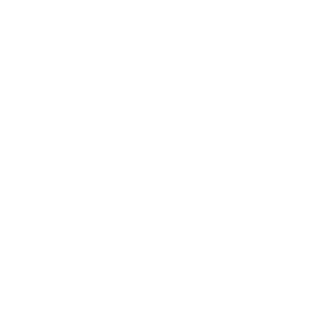 woessner_logo_weiss